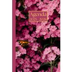 Agenda settimanale con orario: Fiori rosa | 18 mesi, Settimana su doppia pagina, Intervalli di 1 ora, Da Luglio a Dicembre, Formato 6"x9" | Calendario ... Personale, l'ufficio Aziendale e il Diario