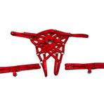 Ağı Açık Fantazi Külot Ve Bacak Bandı Takımı Lastik Harness - Brf1202