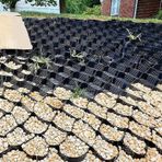 Ağır Hizmet Çakıl Sabitleyici Izgara Toprak Stabilizasyonu için Petek Geogrid Geçirgen Parke Vakfı Çalışma ve İstinat Duvarı Uygulamaları