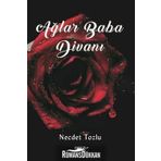 Ağlar Baba Divanı - Necdet Tozlu