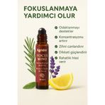 Agridin Focus Mind Roll-On 10 ml – 100% Doğal Aromaterapi ile Zihin Açıklığı ve Odaklanma Desteği