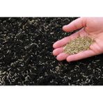 Agrobazaar Yonca Karisimli Az Su Ile Yasayabilen Cim Tohumu 1 Kg
