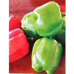 AGRODAL TARIM ATA TOHUMU YÖRESEL DOĞAL ACI DOLMA BİBERİ 100 AD TOHUM