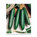AGRODAL TARIM HİBRİT SALATALIK TOHUMU BEITH ALPHA-F1 30 ADET TOHUM