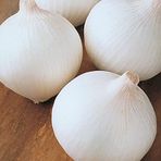 Agrodal Tarım Yerli Doğal Beyaz Soğan 500 Adet Tohum