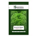 AGROERA Kışlık Kıvırcık Marul Tohumu 8000 Adet / 10 Gr.