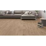 Agt Effect Derzli Laminat Parke 8mm Solaro + 6cm Süpürgelik + 3mm Kapron Takım Kahverengi