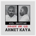 Ahmet Kaya - Adı Bahtiyar İyimser Bir Gül - Plak