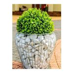 AHS Beyaz Dolomit Taş 5 Kg 6-10 Cm Dere Çakıl Taşı Bahçe Peyzaj Süs Taşı Saksı Teraryum Akvaryum Taş
