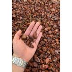 Ahs Kırmızı Bordo Dolomit Çakıl Taşı 1-3 cm 10 kg Dekoratif Bahçe Peyzaj Saksı Akvaryum Teraryum - ST