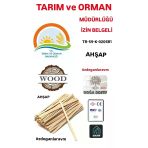 Ahşap Çay Kahve Kaşığı Karıştırıcısı 800 Adet