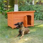 Ahşap Köpek Kulübesi
