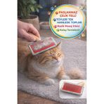 Ahşap Saplı Kedi Köpek Tarağı Paslanmaz Çelik Tüy Toplama Fırçası Kolay Temizlenir 11x8 cm PT-EVH-TAR-010