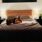 Ahşap Yatak Başlığı Naturel 2mtx60 cm