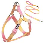 AIITLE Step-in Köpek Koşum Takımı ve Tasma Seti - Çekmesiz Evcil Hayvan Ayarlanabilir Halter Koşum 5FT Tasmalı - Çift D Halka, Kolay Uyum - Büyük Irk Köpekler için Kolay Yürüyüş Koşu Eğitimi,
