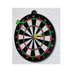 Aijoe Dart 24 Cm 2 Mıknatıslı Ok 06