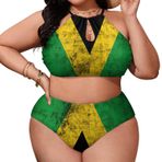 AILLOSA Flag-106 Büyük Beden Geniş Askılı Orta Bel Büyük Beden Kadın Bikini Seti