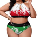 AILLOSA Flag-147 Büyük Beden Geniş Askılı Orta Bel Büyük Beden Kadın Bikini Seti