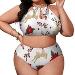 AILLOSA GFY24 Geniş Askılı Orta Bel Büyük Beden Kadın Bikini Seti