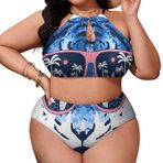 AILLOSA TH-493 Büyük Beden Geniş Askılı Orta Bel Büyük Beden Kadın Bikini Seti