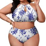 AILLOSA YH-258 Büyük Beden Geniş Askılı Orta Bel Büyük Beden Kadın Bikini Seti