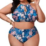 AILLOSA YH-441 Büyük Beden Geniş Askılı Orta Bel Büyük Beden Kadın Bikini Seti
