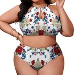 AILLOSA YH-533 Geniş Askılı Orta Bel Büyük Beden Kadın Bikini Seti
