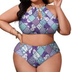AILLOSA YH-552 Geniş Askılı Orta Bel Büyük Beden Kadın Bikini Seti