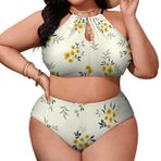 AILLOSA YH-61 Geniş Askılı Orta Bel Büyük Beden Kadın Bikini Seti