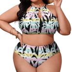 AILLOSA YH-627 Geniş Askılı Orta Bel Büyük Beden Kadın Bikini Seti