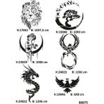 Airbrush Tattoo Vahşi Güzellikler Geçici Dövme Kalıpları Seti Spreysiz