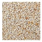 Ak (Beyaz) Darı 10 kg Kuş Yemi