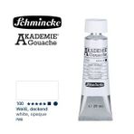 Akademie Guaj Boya 20ml 100 White Opaque