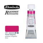 Akademie Guaj Boya 20ml 315 Primary Magenta