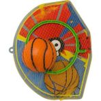 Akar Basketbol Potası Küçük Boy