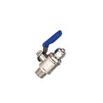 AKBELLİ GROUP Arıtma Mini Vanası 1/4 Pirinç, Beyaz, 10x10x10 cm, 1 Adet