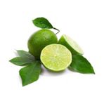 Akcaalan Çekirdeksiz Tahiti Lime Limequat Fidanı