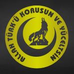 Akçay Sticker Allah Türkü Korusun ve Yüceltsin Sticker Oto Sticker Türk Sticker - 50cm x 50cm - Altın
