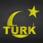 Akçay Sticker Ay Yıldız Türk Sticker Ay Yıldız Sticker Araç Sticker Oto Sticker - 20cm x 20cm - Altın