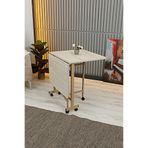 akconcept 70x110 katlanabilir tekerlekli masa