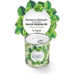 Akdeniz Pos İri Yapraklı Kıvırcık Yetiştirme Kiti Kampanya