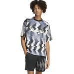 AKE0287 Adidas House Of Tiro x Common Goal Erkek T-Shirt Gri - XL