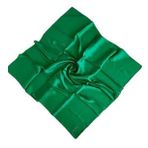 Aker Benetton Yeşili Kristal Eşarp 1070900-957