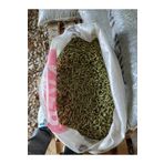 Aker Yonca Pelet- 10 Kg Çuval Paket- Proteinli Yem