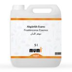 Akgünlük Mum Esansı 41983 5 litre