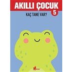 Akıllı Çocuk Kaç Tane Var? 5 Çınar Yayınları