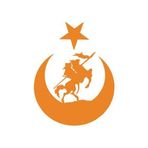 Akıncı Ve Ay Yıldız Türk Bayrağı Araba Sticker 17X17 Cm Turuncu