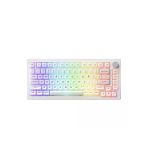 Akko 5075B Plus Shine-Through Rgb %75 Tkl V3 Piano Pro Switch Kablolu/Kablosuz Mekanik Oyuncu Klavyesi