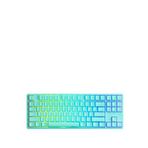 Akko 5087S-SP QMK Mint TKL RGB Hotswap Mekanik Gaming Klavye