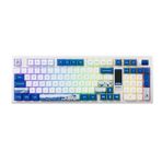 Akko 5098B Plus Santorini RGB Kablosuz Hotswap Mekanik Gaming Klavye